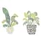 Diamond Dotz® House Plants Iron-On 'n' Dot Kit